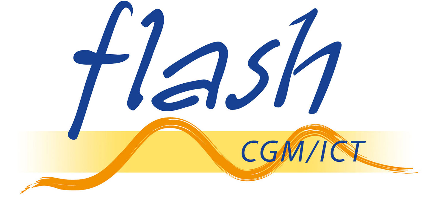 Logo_flash